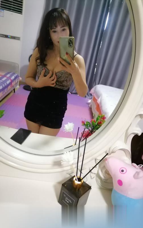 芜湖芙蓉小野猫.